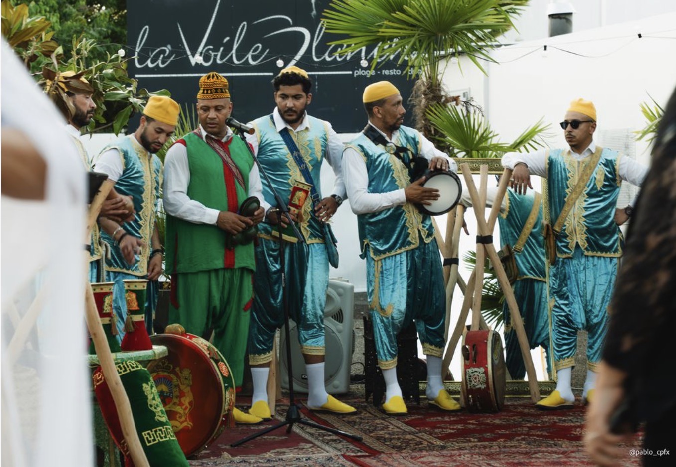Musiciens live